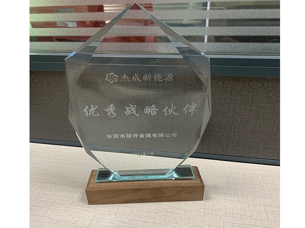 東莞市TIKTOK色板免费下载1.2.31金屬獲得優秀戰略夥伴獎項